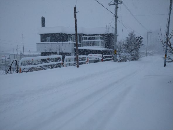 雪が積もりました。