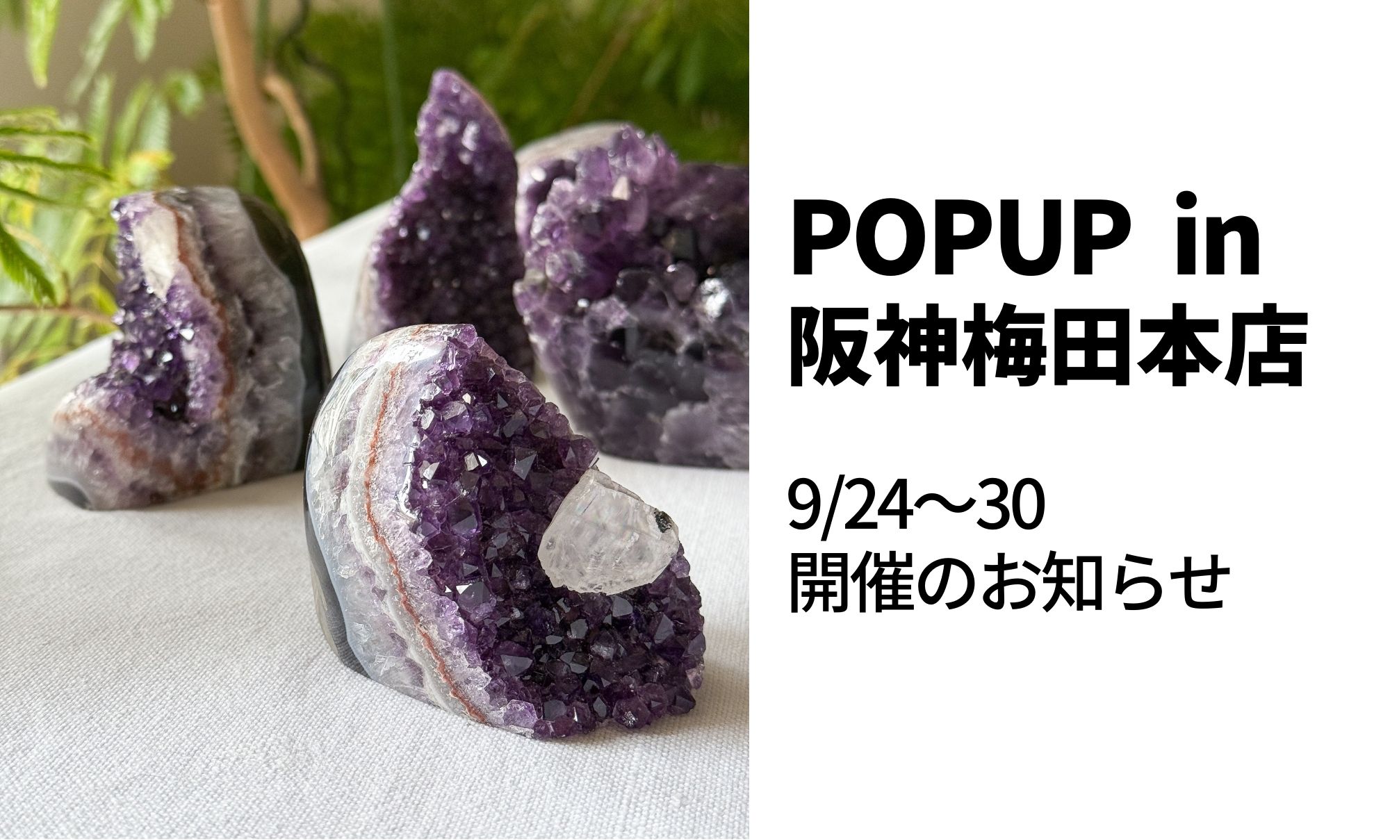 POPUPストア@阪神梅田本店のお知らせ