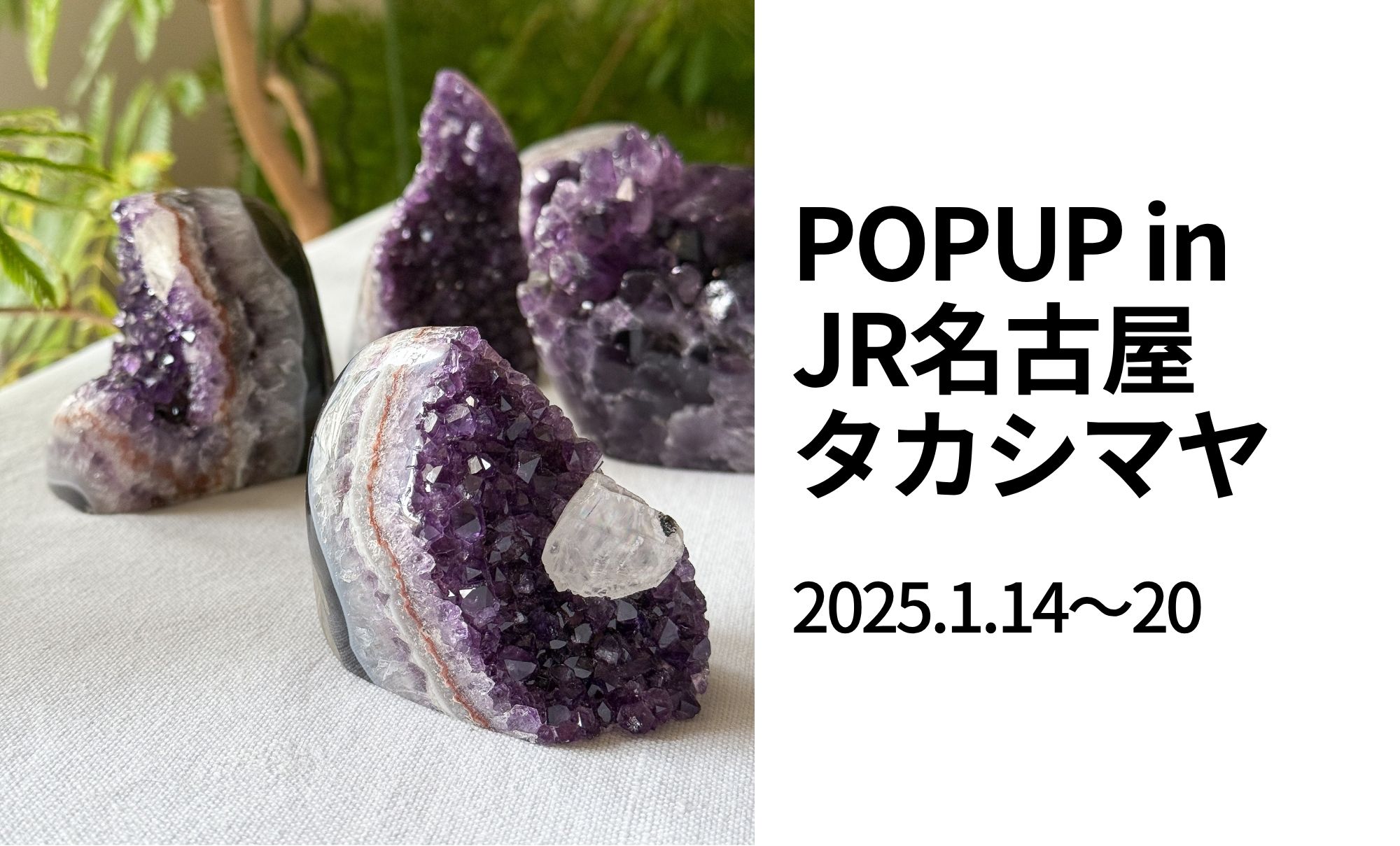POPUPストア@JR名古屋タカシマヤのお知らせ