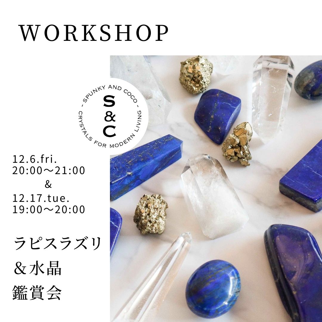 12月のワークショップ開催のお知らせ