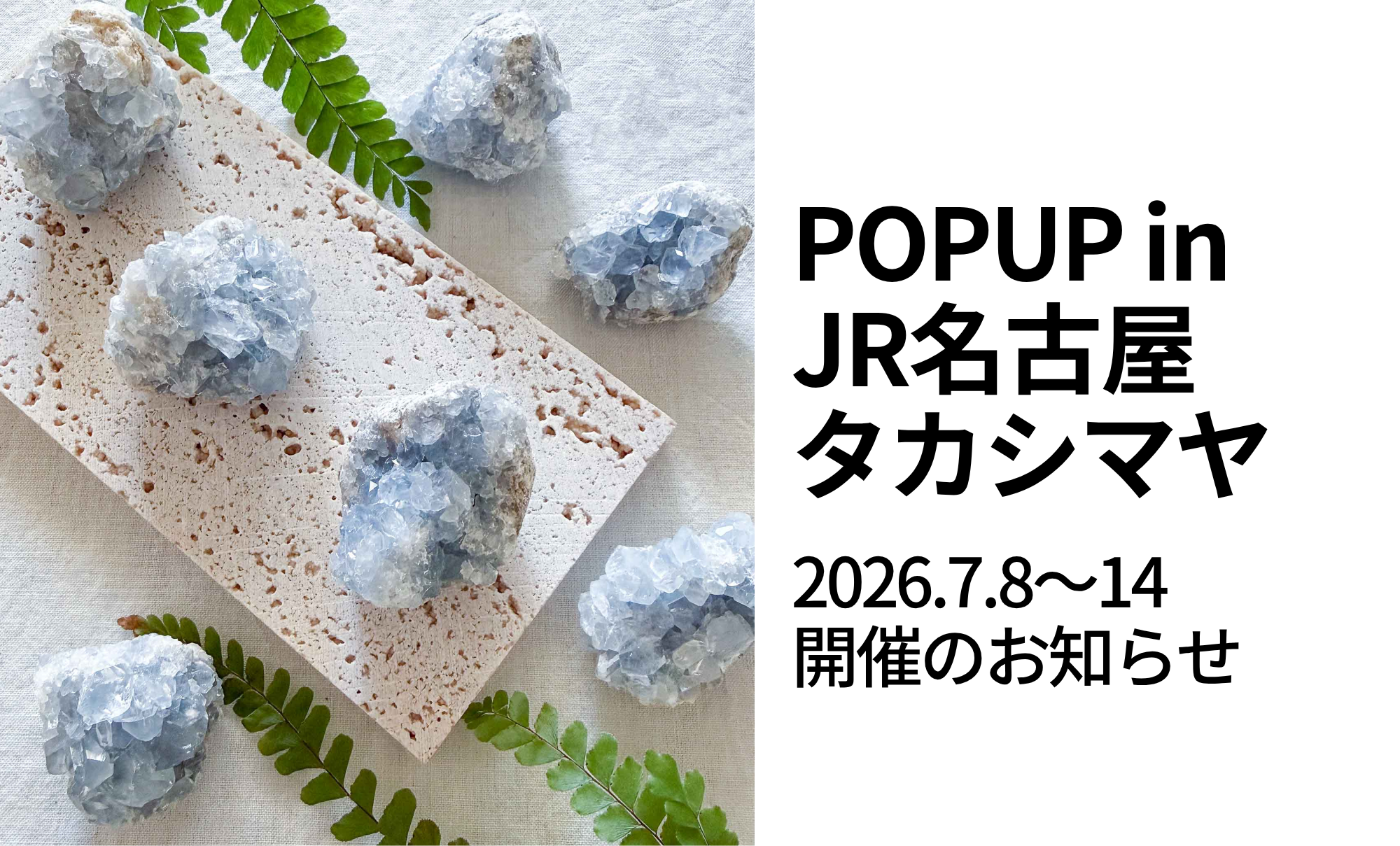 POPUPストア@ジェイアール名古屋タカシマヤのお知らせ 7/8〜7/14