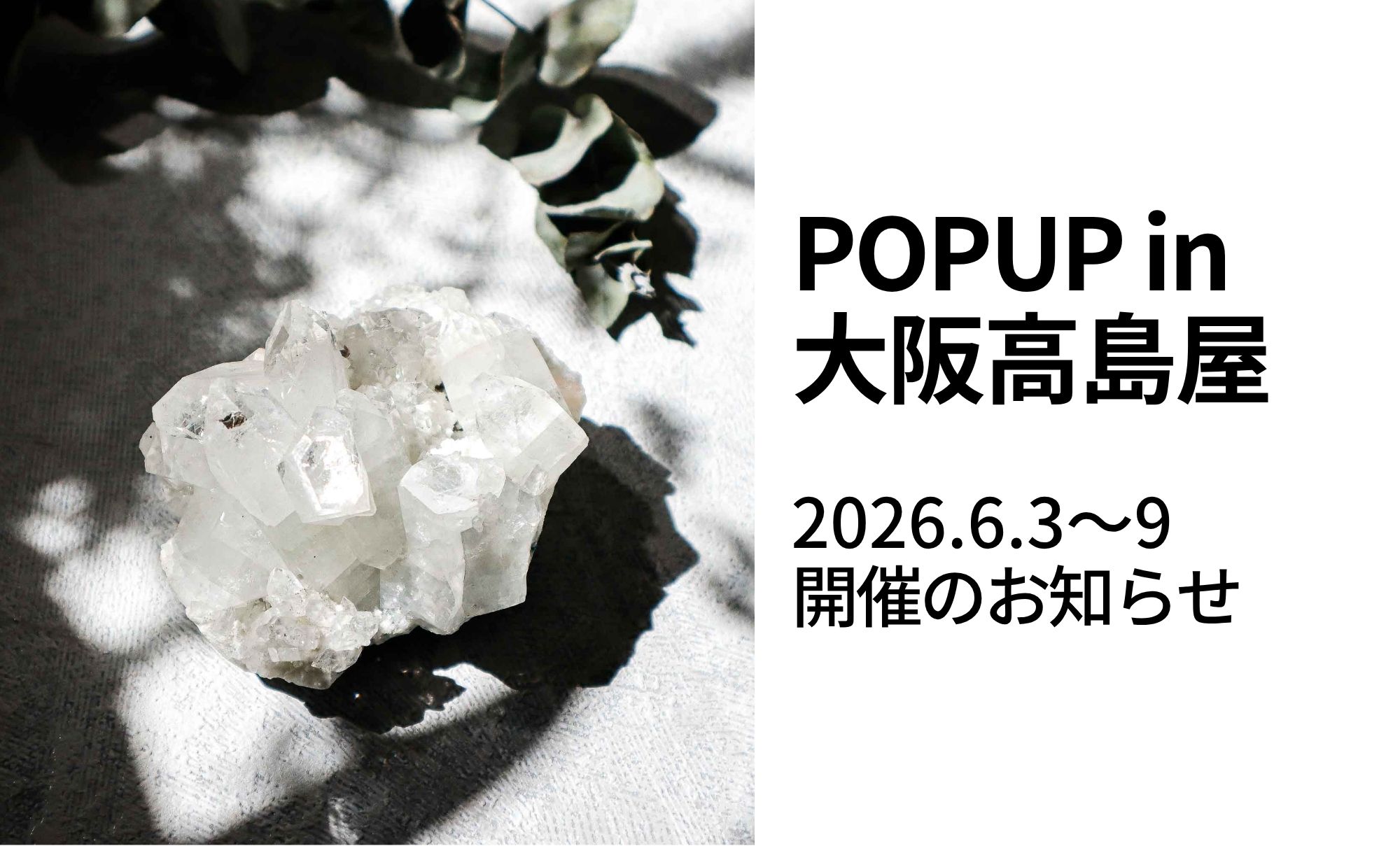POPUPストア@大阪髙島屋のお知らせ