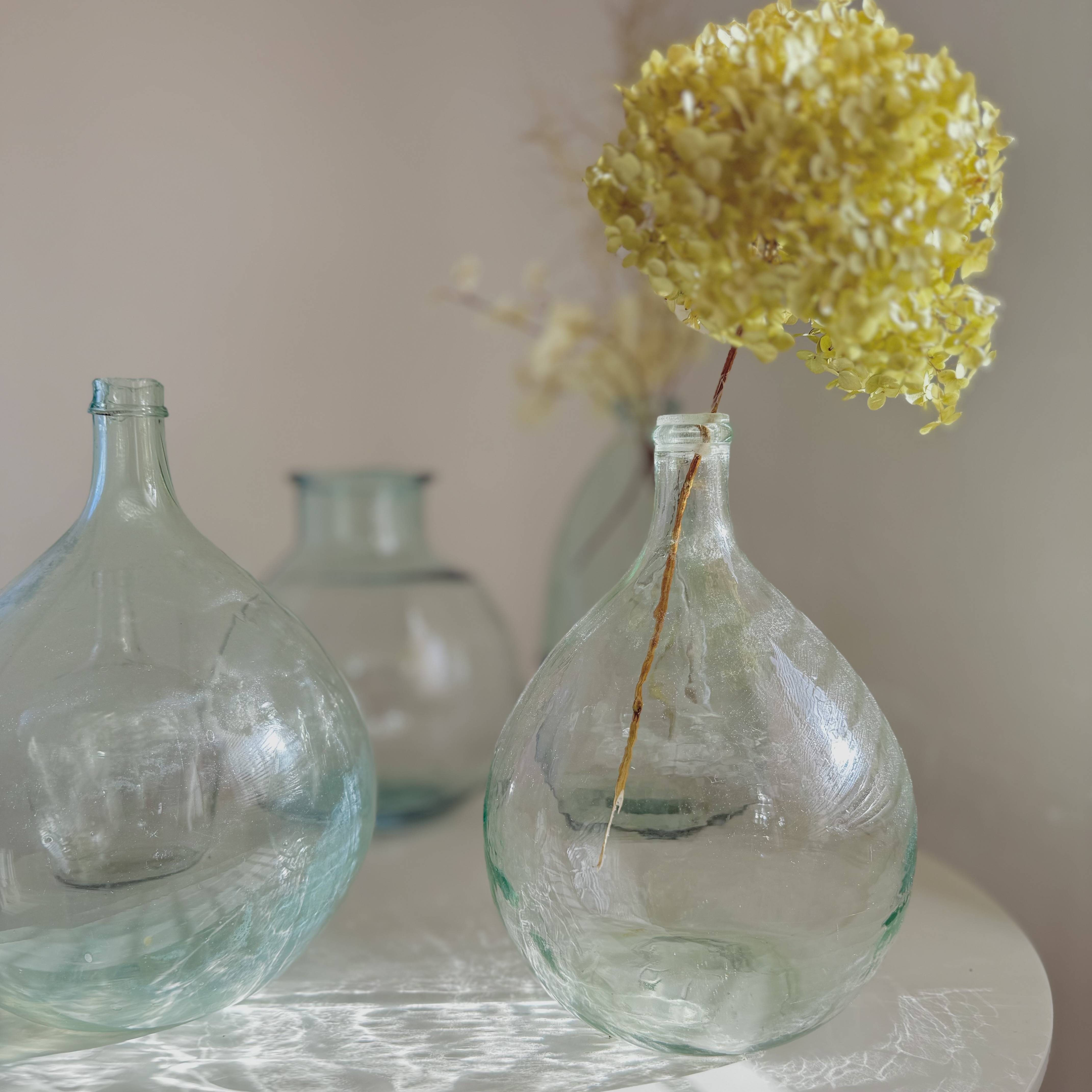 BIog update 2026.3.4 新しい季節に向けて