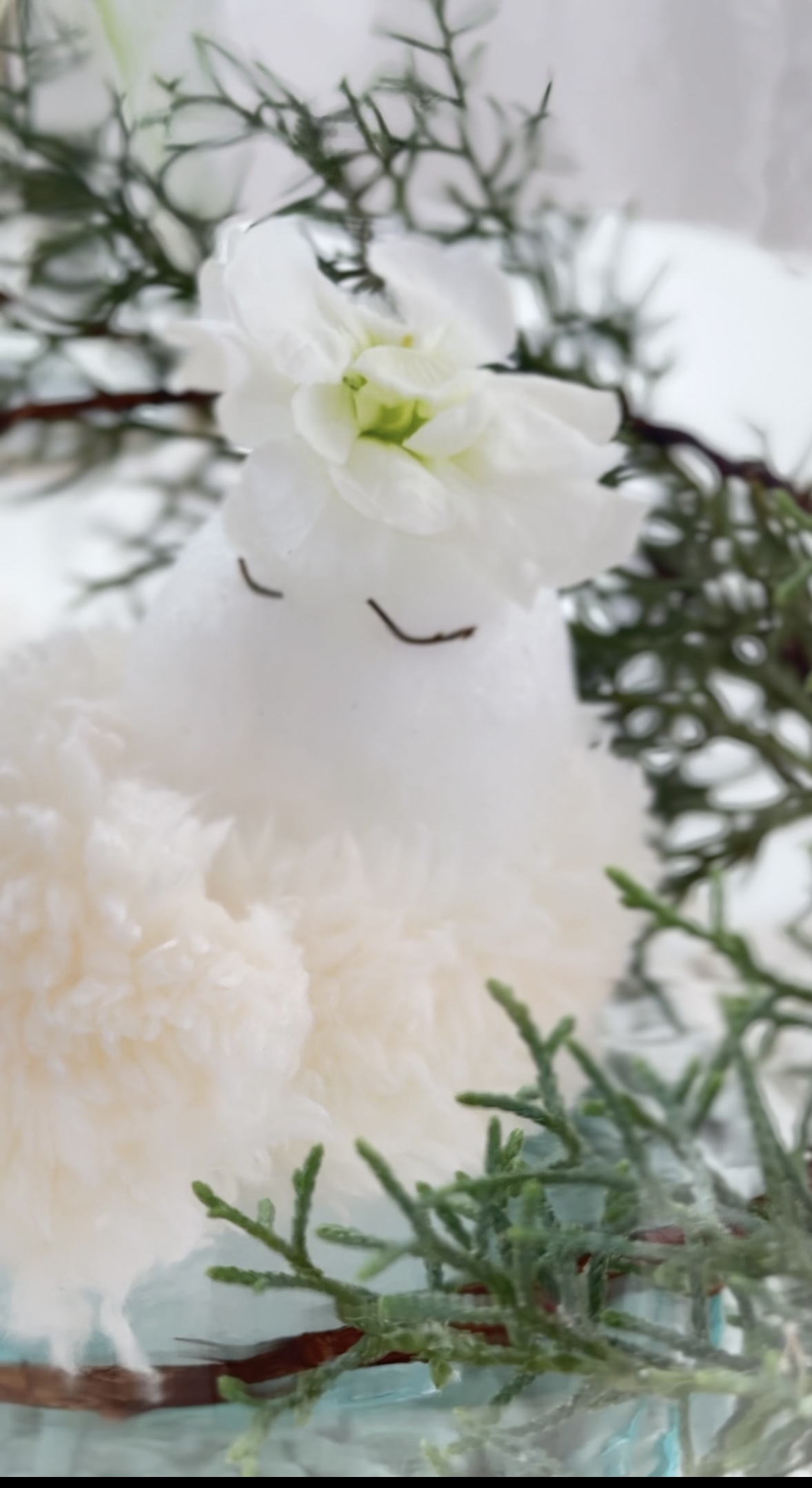 BIog★update  2025.1.8◆寒波到来◆