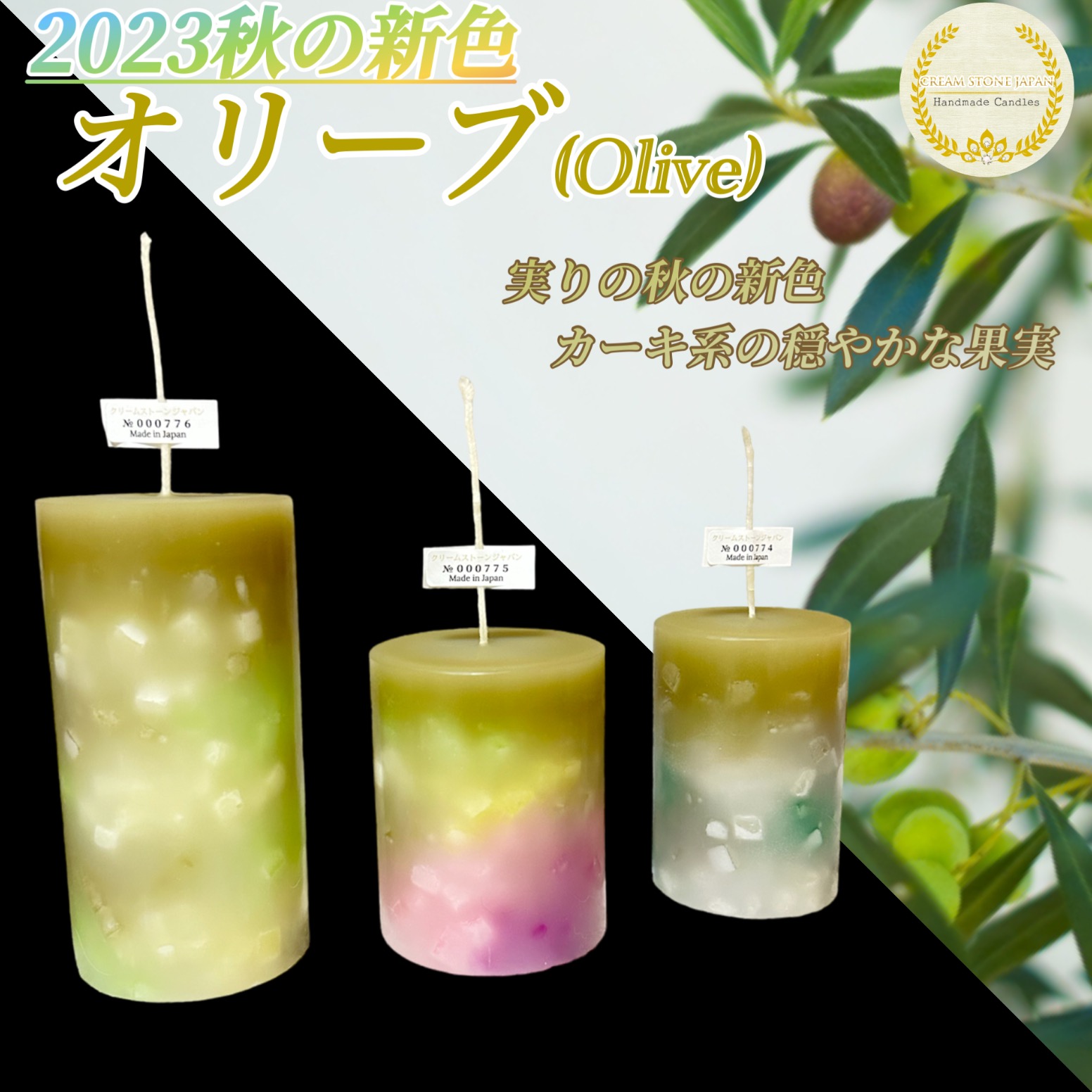 2023秋の新色「オリーブ」新発売