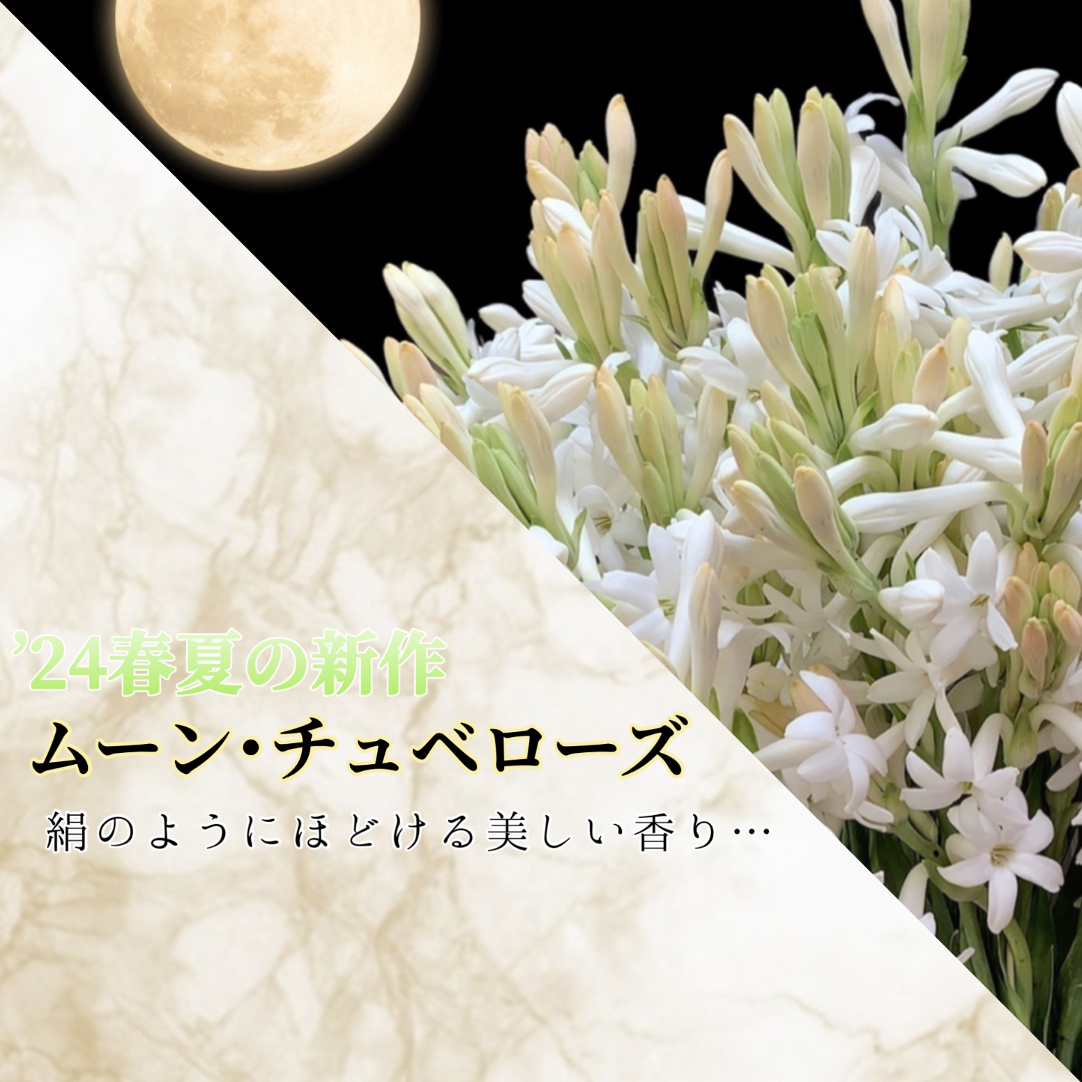 2024春の新作の香り「ムーン･チュベローズ」発表