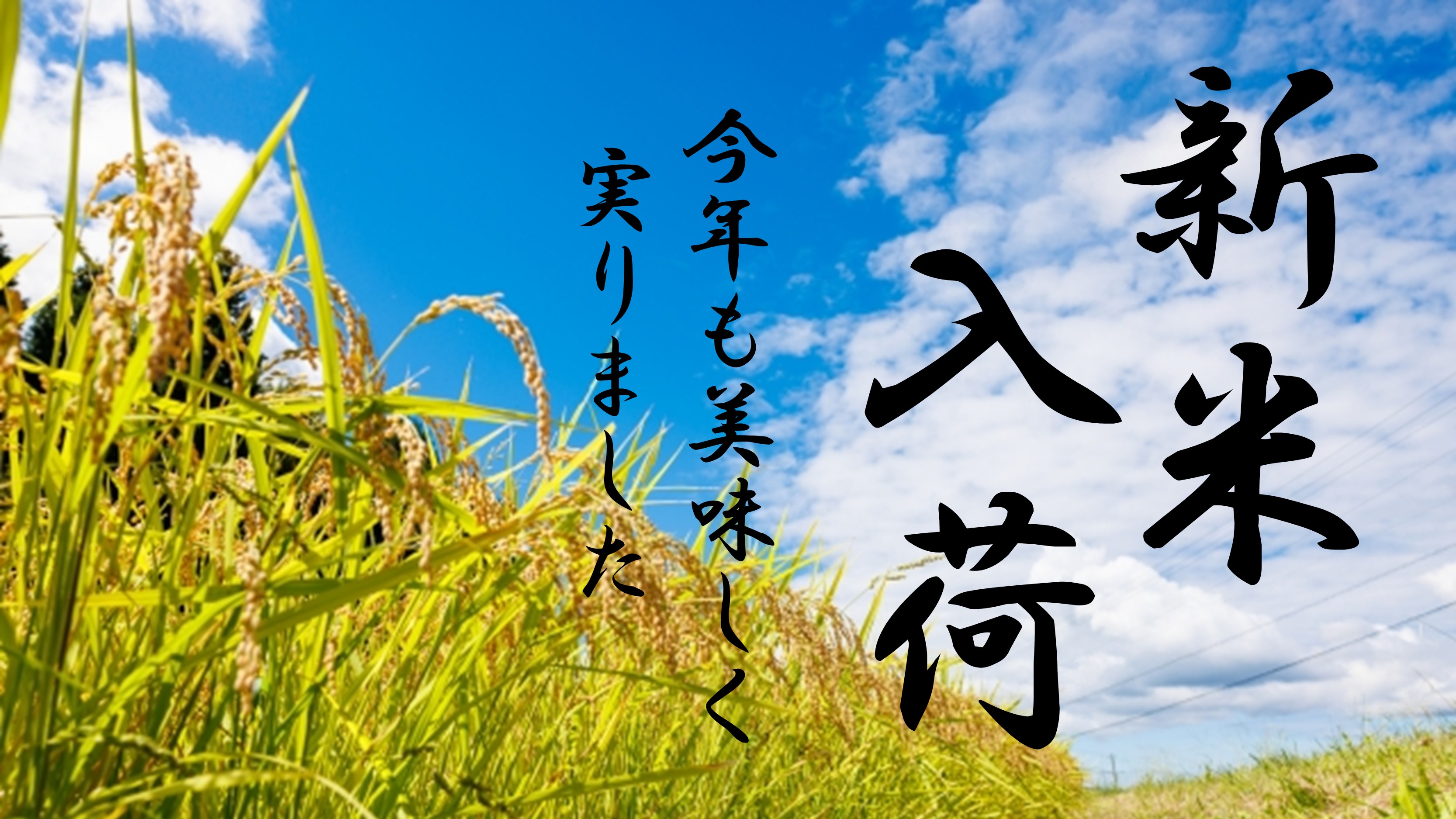 令和８年産 新米入荷しました！