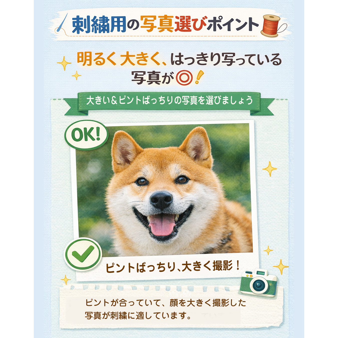 上手な写真の選び方