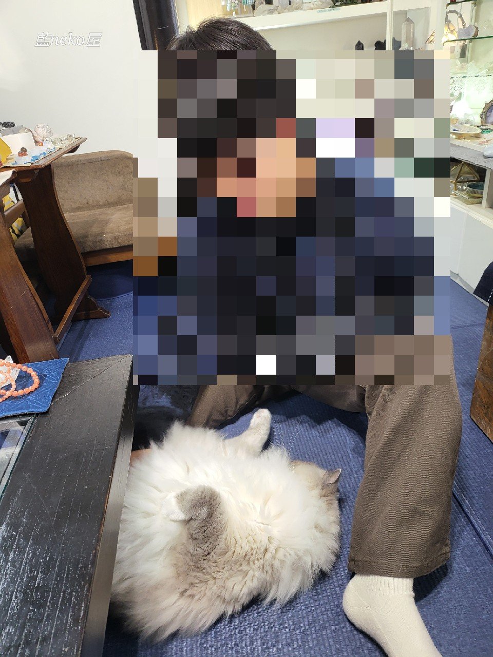 〈スピ〉悪霊2体払う