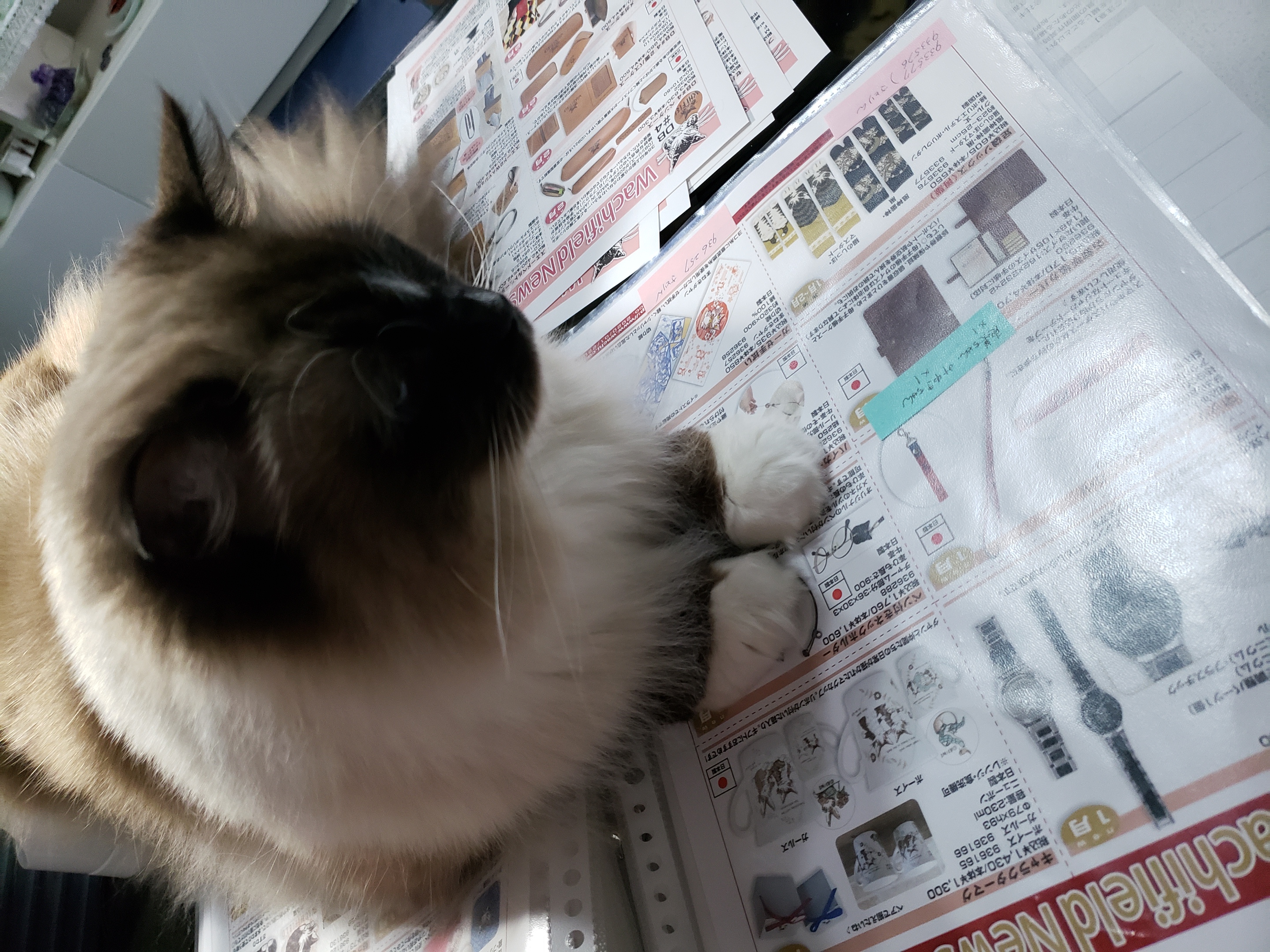 外れて欲しいとはじめて思った。。。
