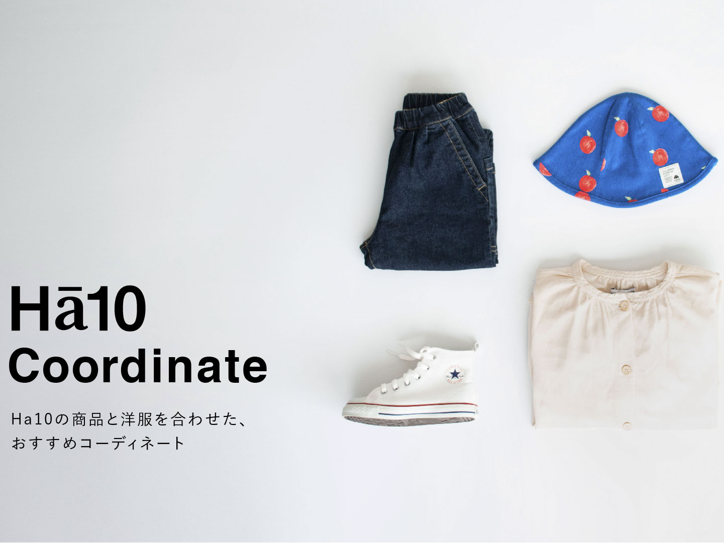 【Ha10 Coordinate】