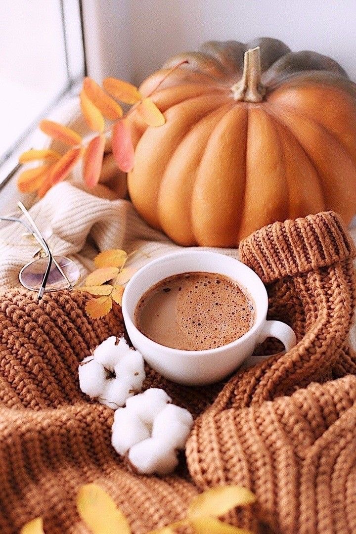 ぜひ、ご覧ください🍂