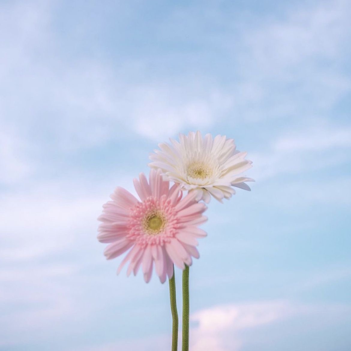 まもなくです✿︎
