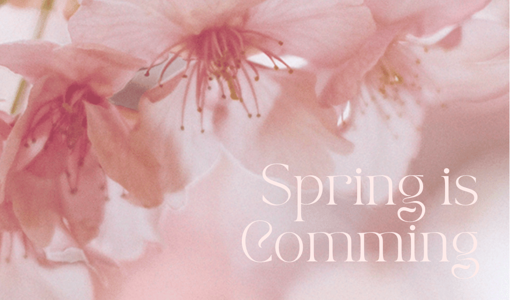 春の訪れ...🌸季節のおすすめ香料と新入荷商品のご紹介