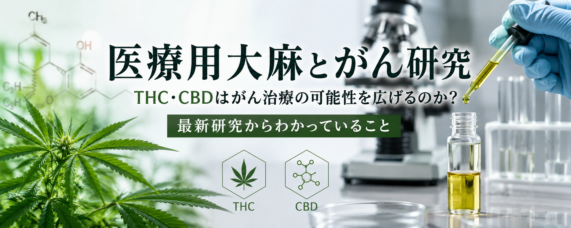 CBDとTHCはがん細胞にどう作用する？医療用大麻研究をわかりやすく解説