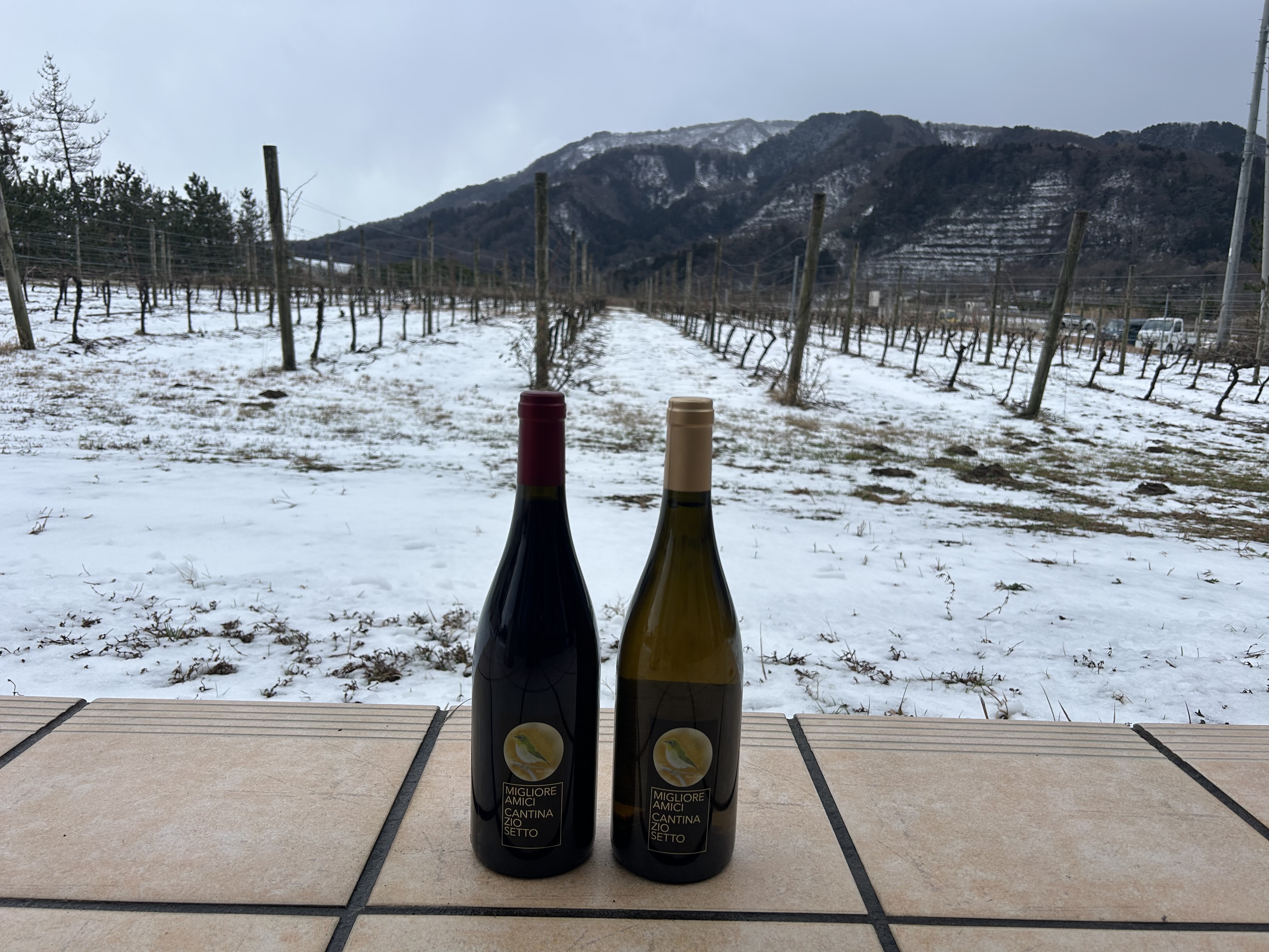 2026年2月分：直売所の営業日と時間について（2026/2/16発行）