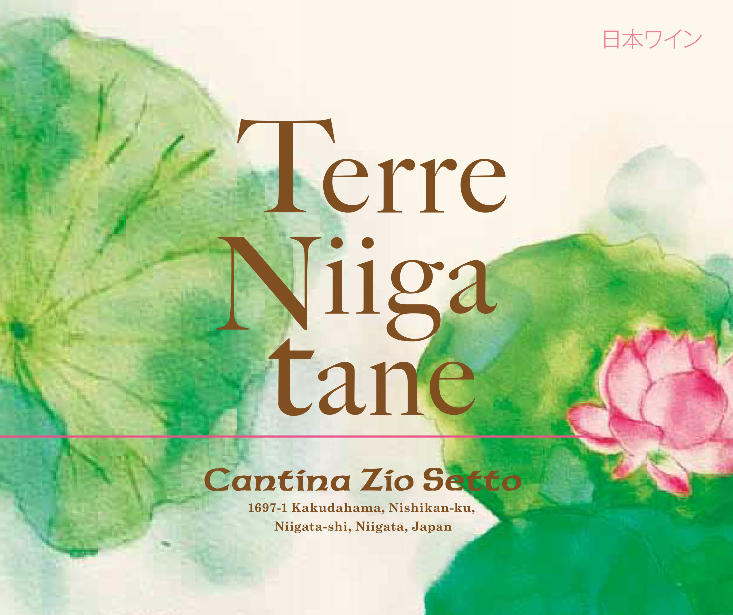 【NEW】Terre Niigatane トッレウーヴァ2020