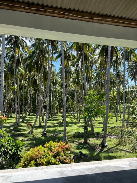 Sun and Soul - #4 Miki