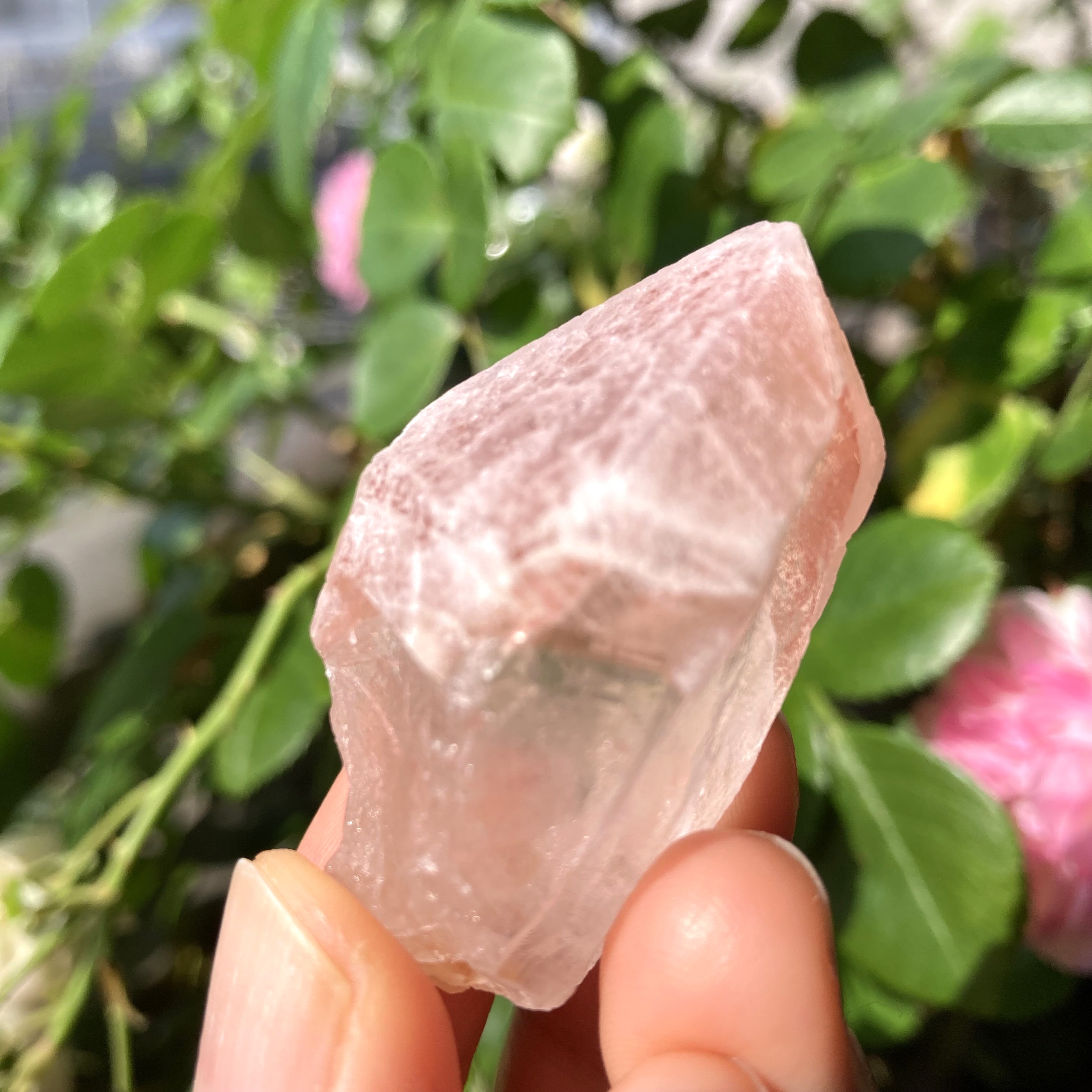 ブラジル・ディアマンティーナ産　単晶　ドリームシクル（ピンクレムリアン） 販売中です。