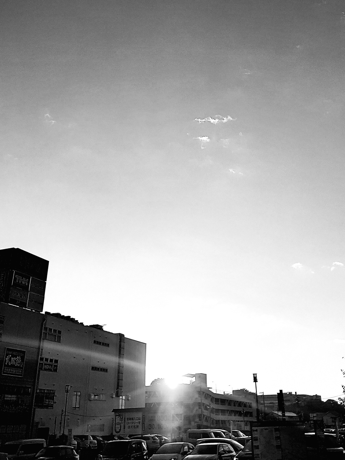 令和七年 風乾き枯葉舞い散る朝に