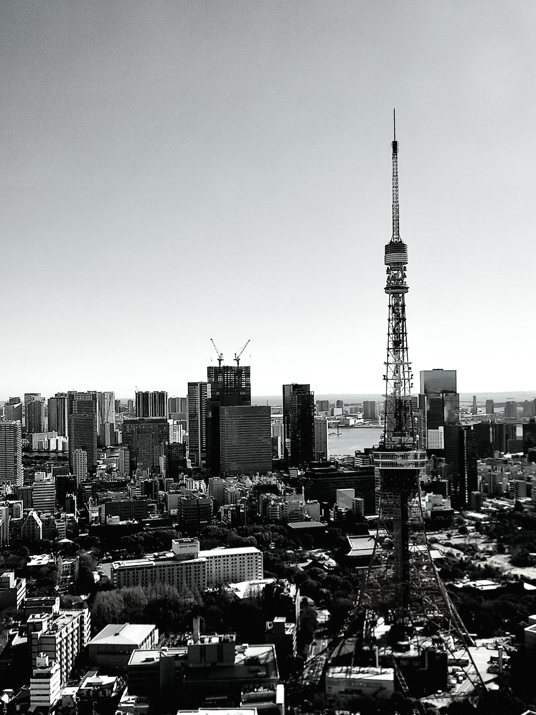 令和八年　東京タワーと空と海