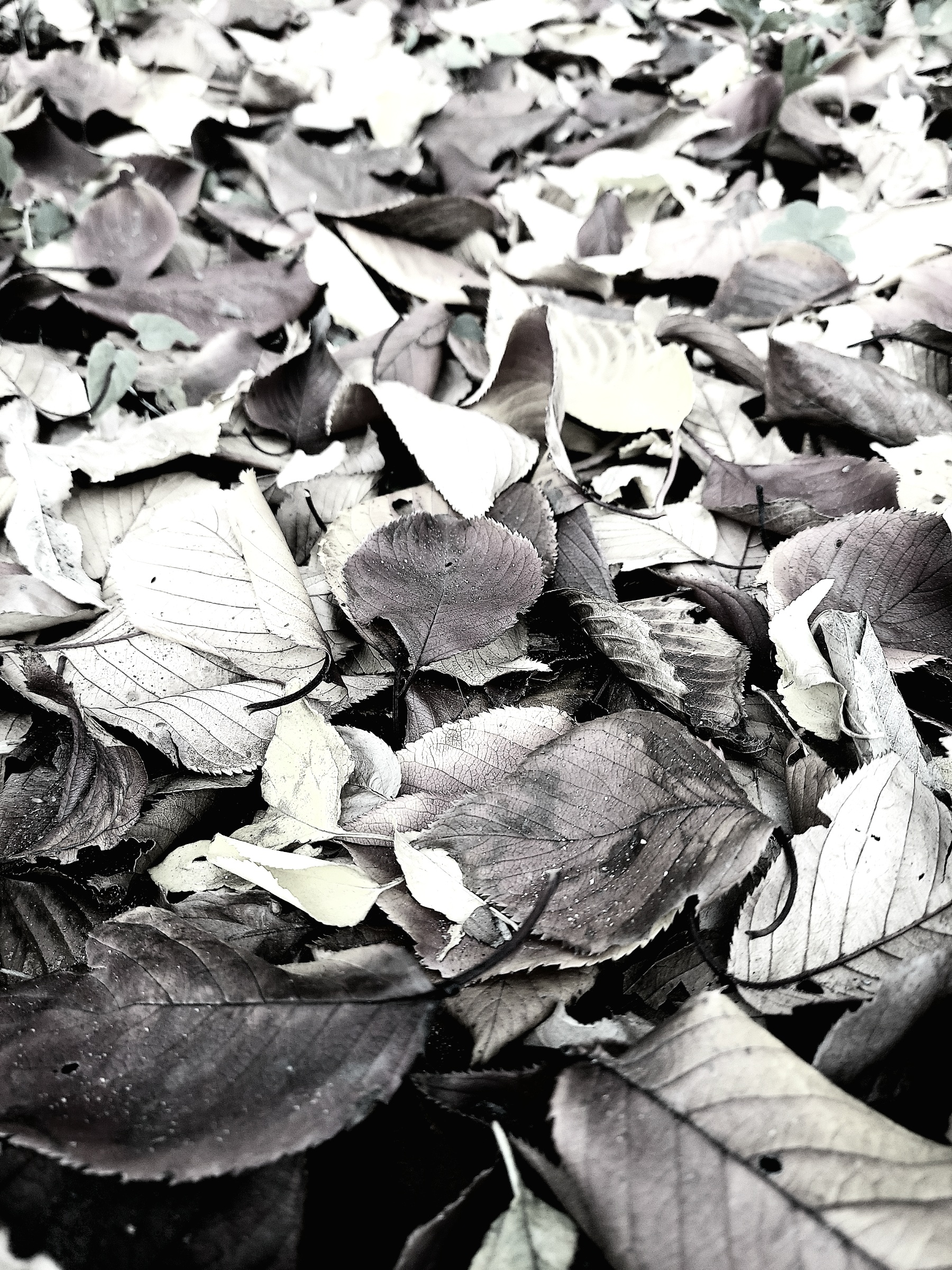 令和七年 今年もまた12月8日を過ぎて