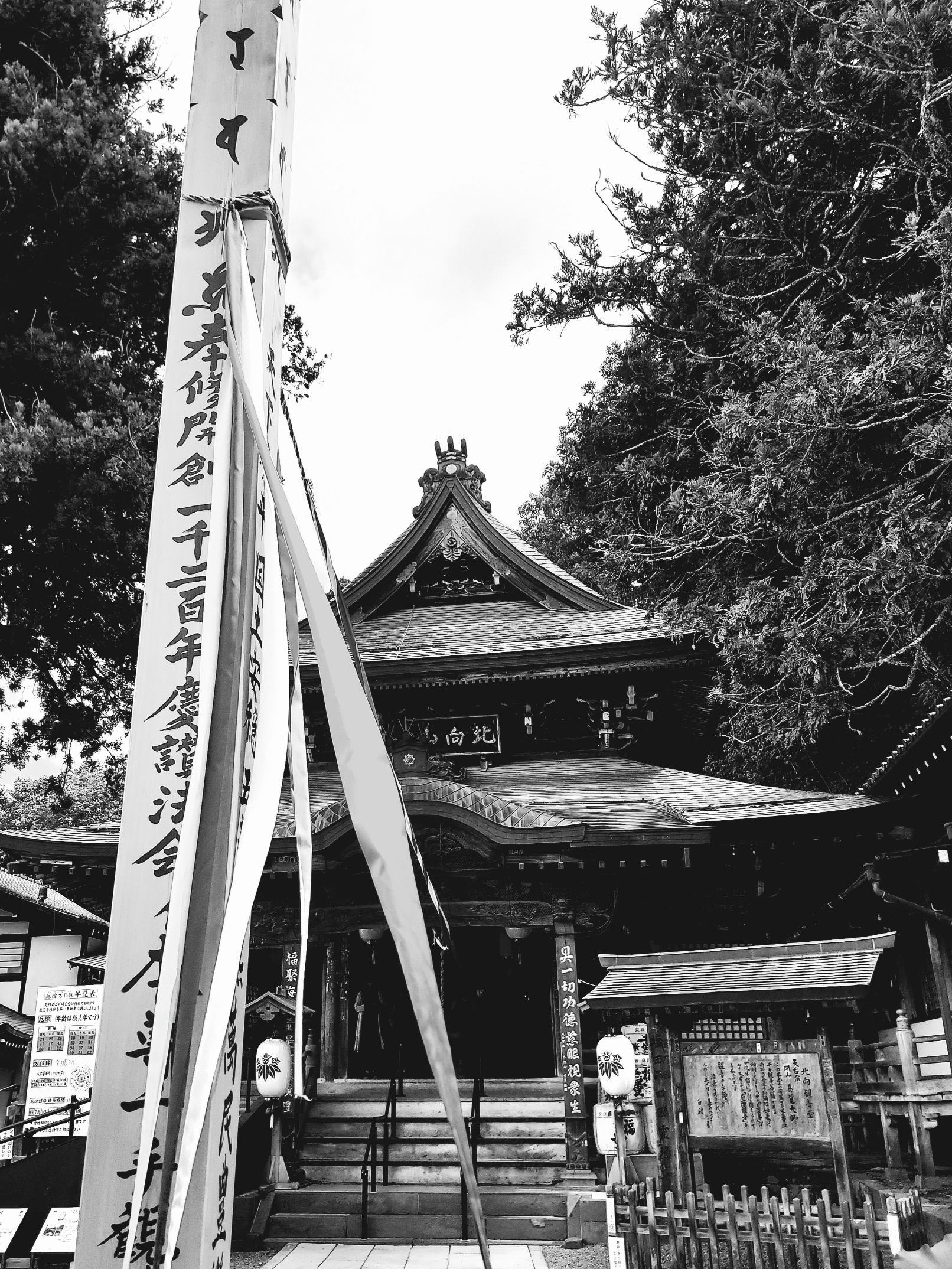 令和八年 遠くなく世界でもなく小さな旅を