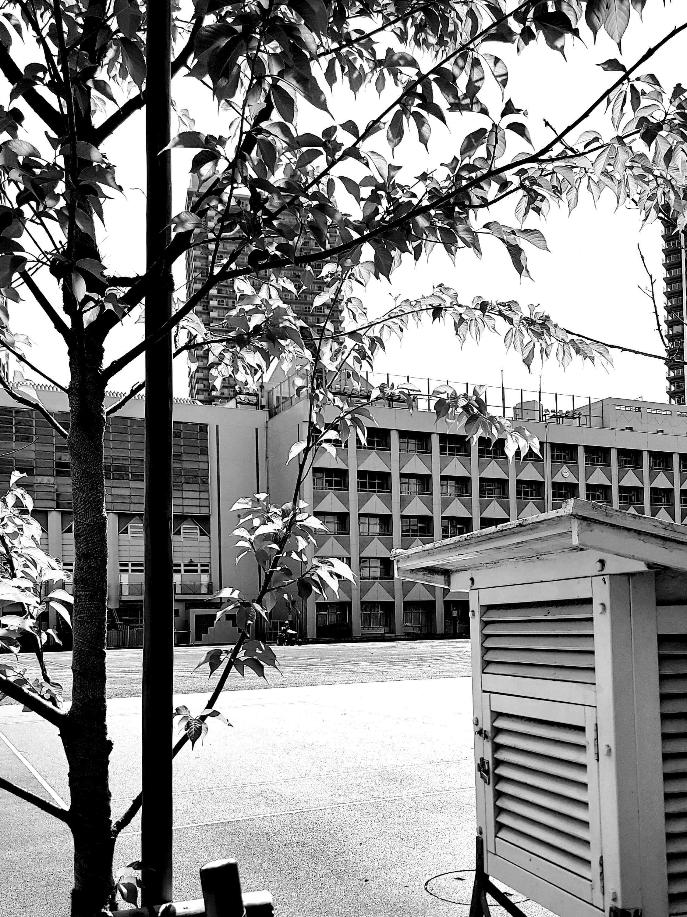 令和四年　万物が成長していくといわれる小満を前に