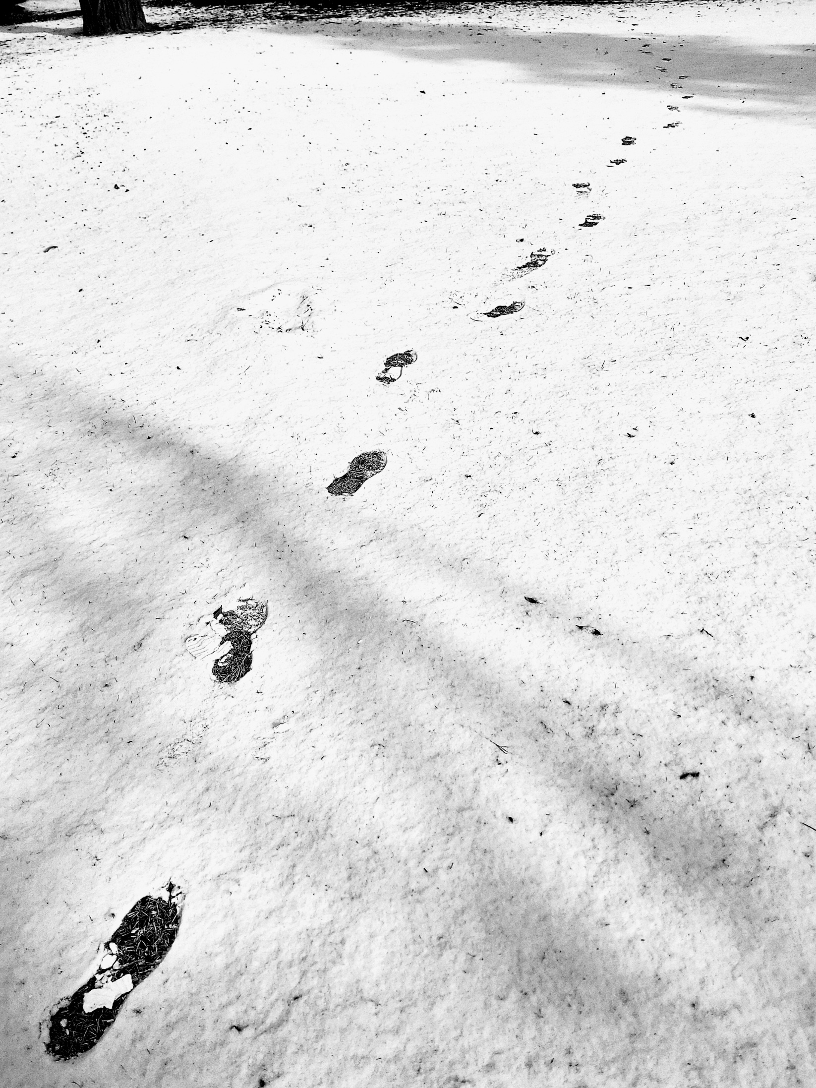 令和八年　久しぶり、の雪の上で