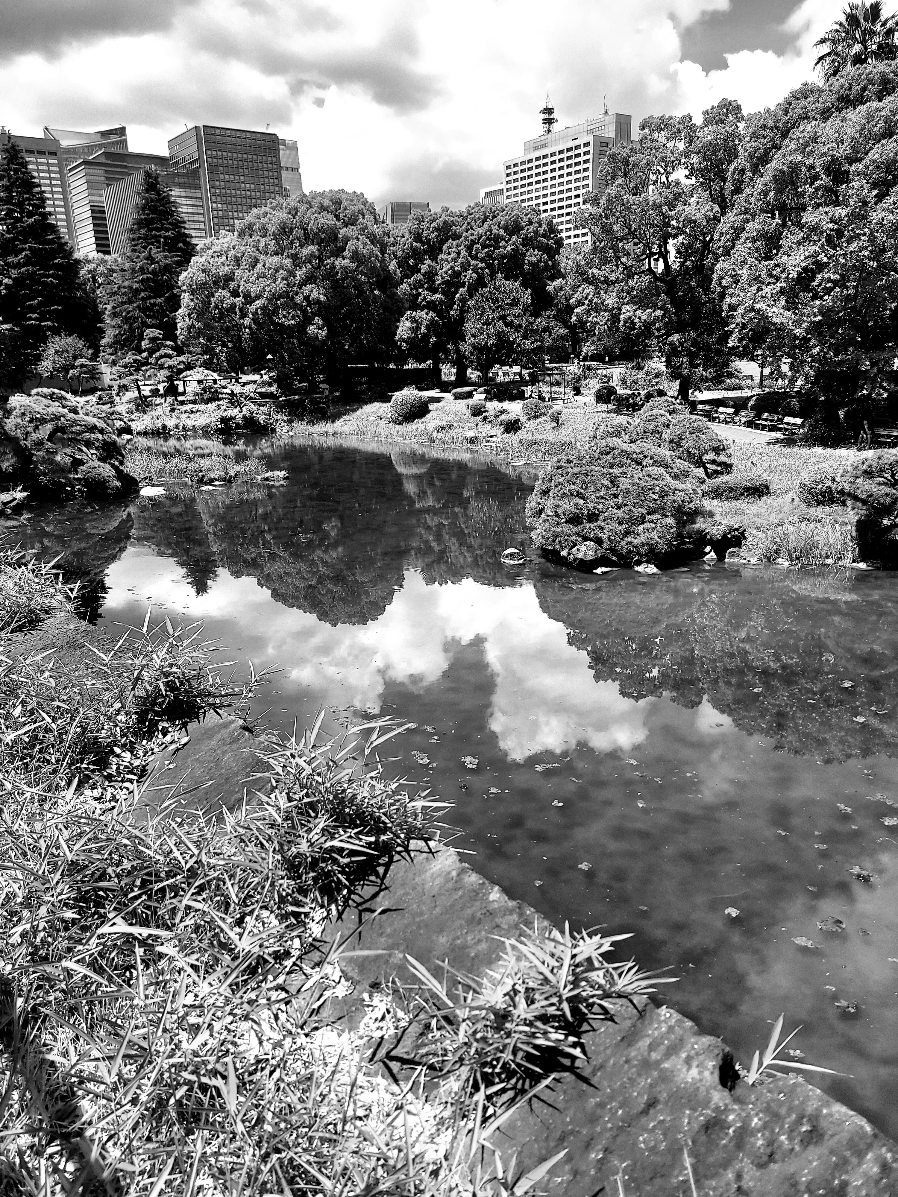 令和八年 水鏡に映ることのない自分を省みて
