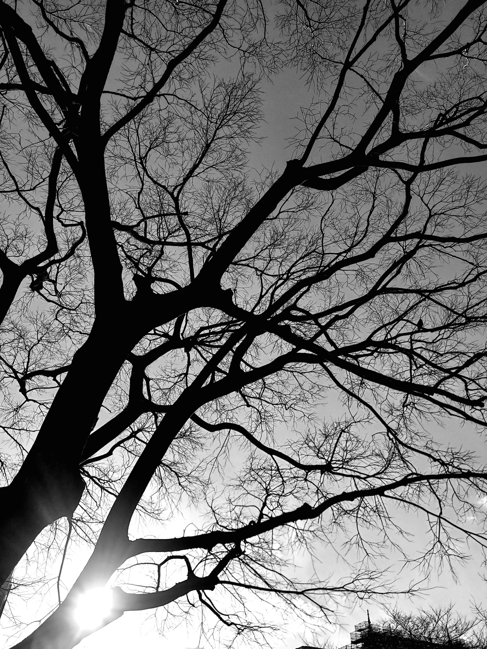 令和八年　久しぶり、の栗岩稔的酒場の流儀