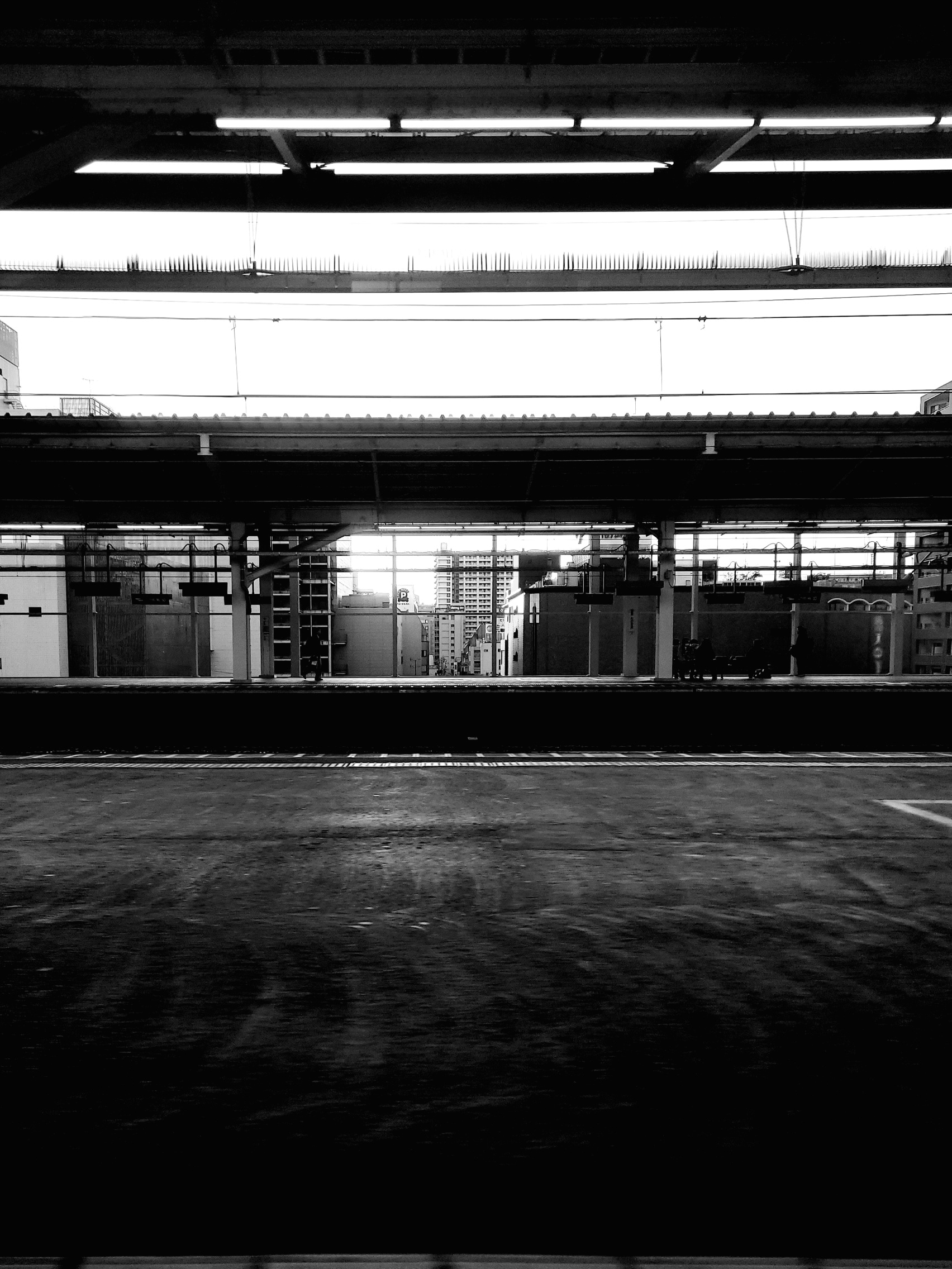 令和八年　誰が言ったか「人生は旅」を想う春に