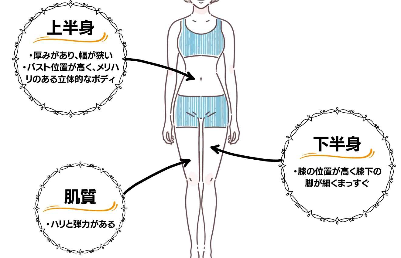 骨格ストレートって？