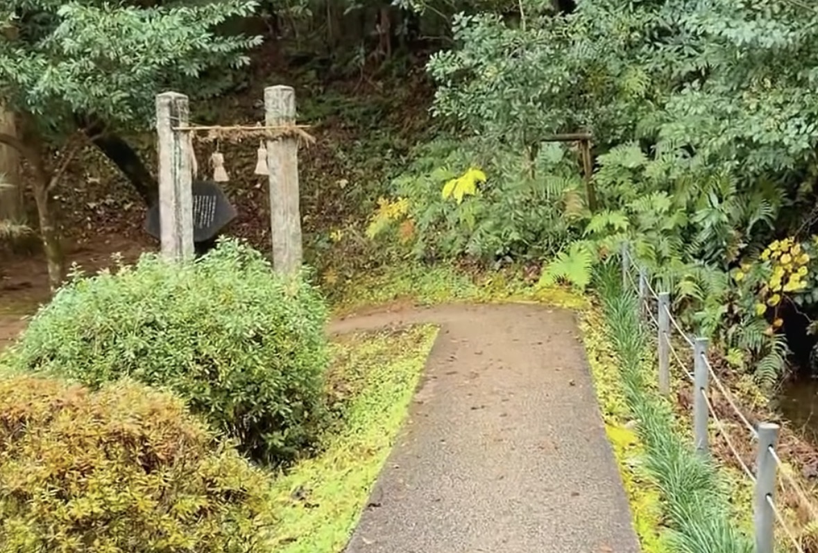 明るいだけじゃない。 少しダークなクセ