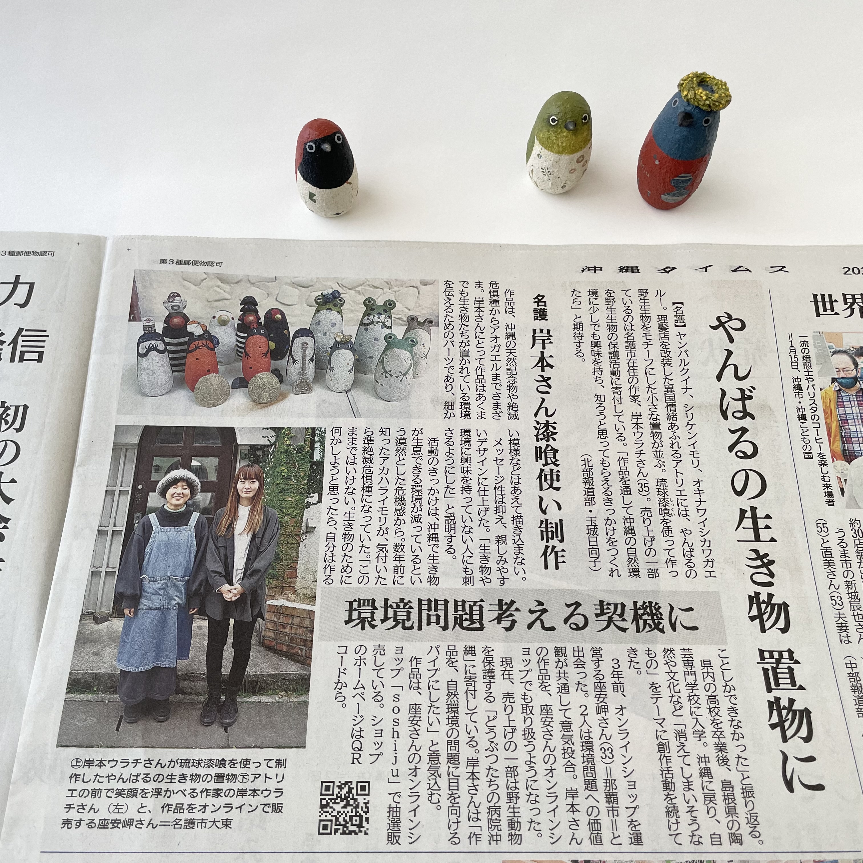 新聞（沖縄タイムス）掲載のご報告