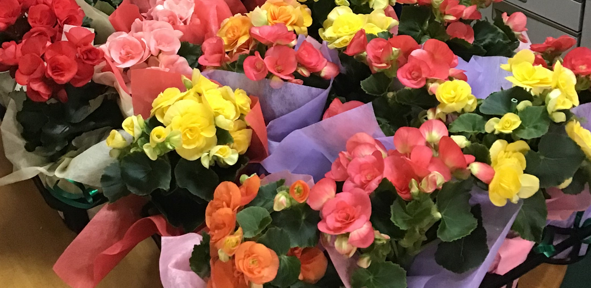 卒業式シーズンのお花の受注について