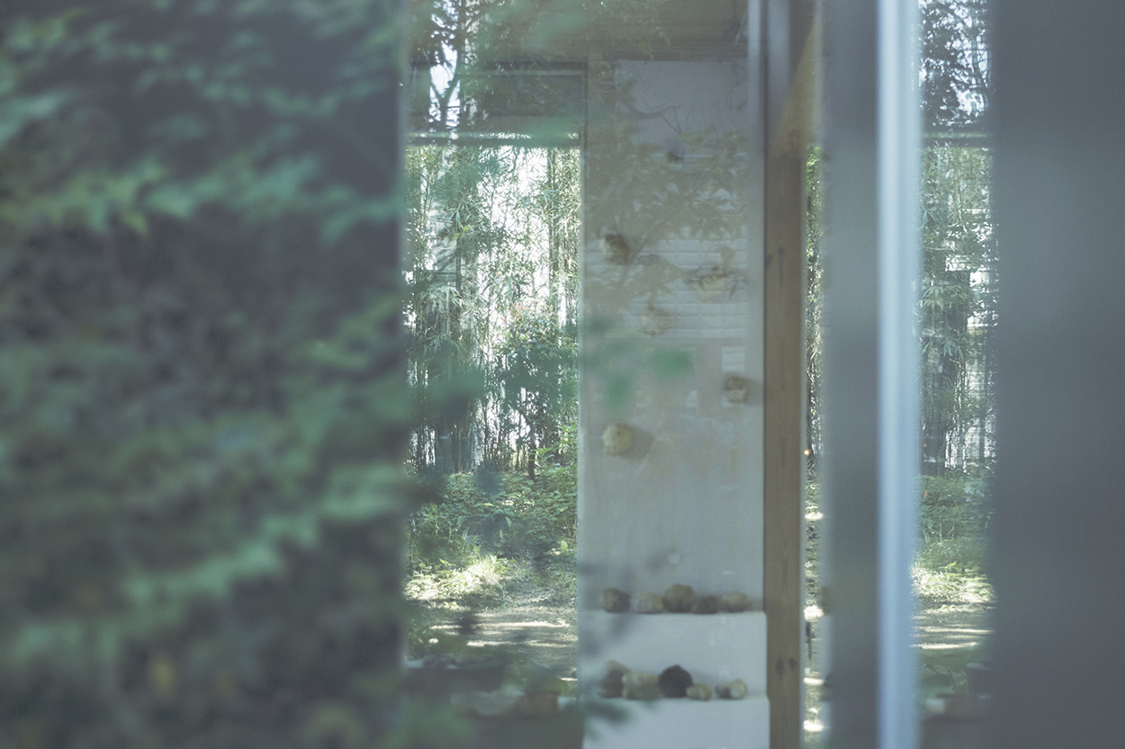 あわいもん二〇二五の注意事項