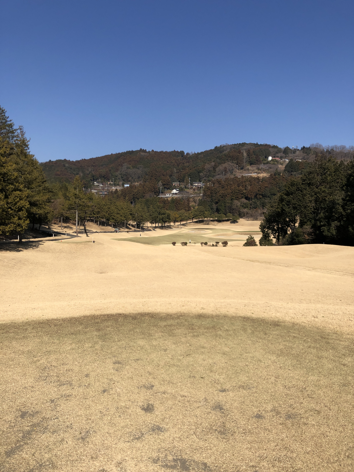 ウェッジ 使いこなし 3|シャフトの重量・フレックスによる違い