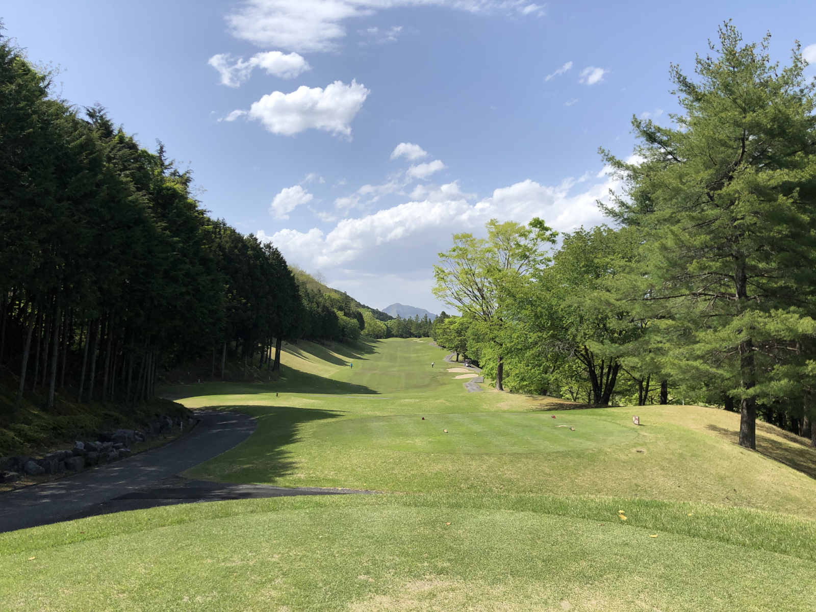 PING s259｜悪条件でも「強スピン」を実現する6種のグラインドと100切りおすすめセッティング