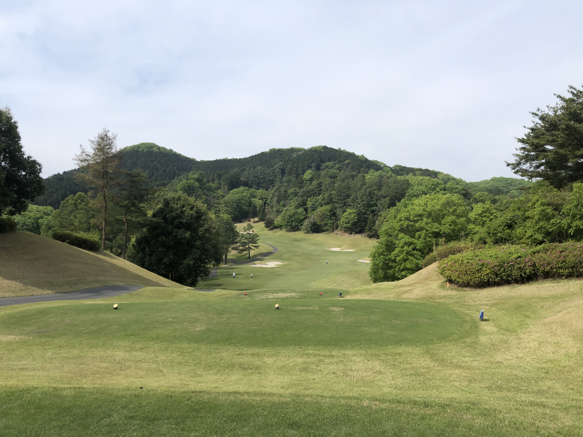 ウェッジ 54度｜絶妙な距離感を1本で埋める、隠れた万能アプローチウェッジ