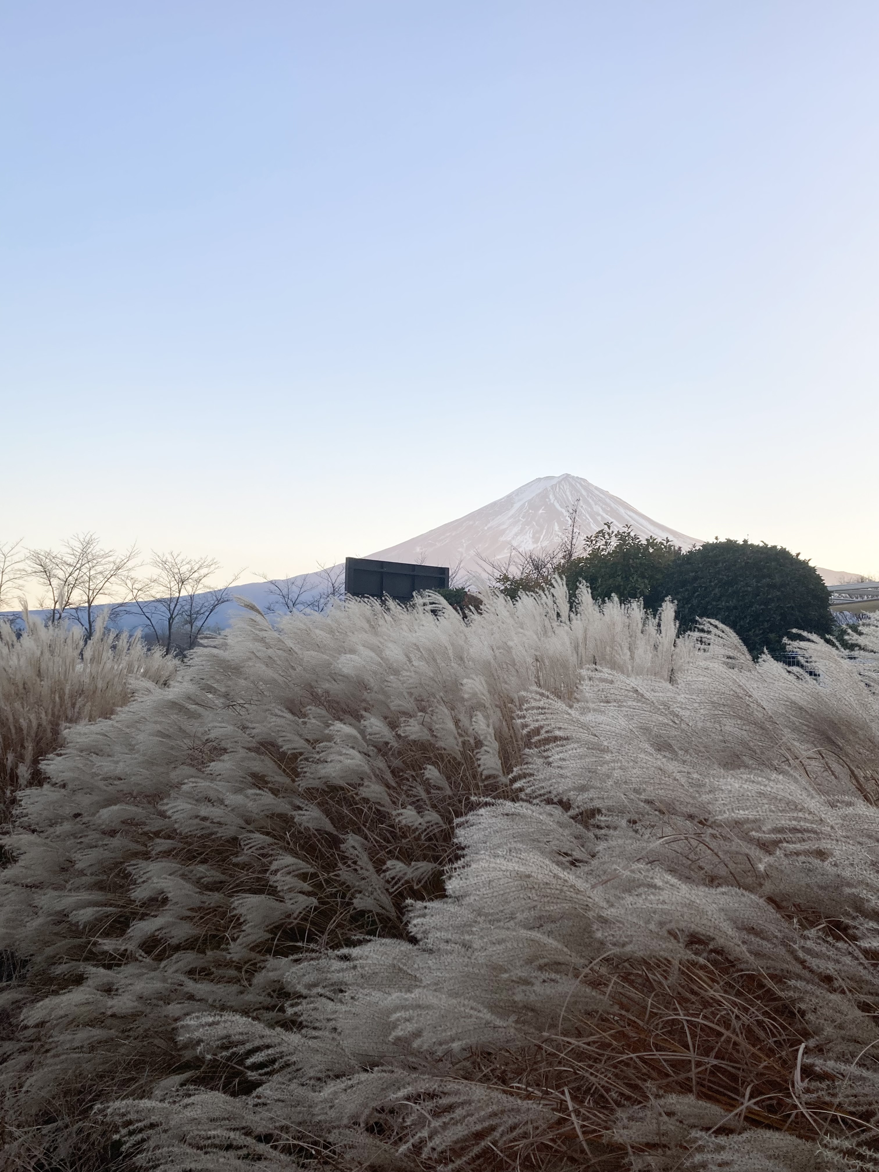 〔 新年のご挨拶 〕香りではじまる新たな物語を