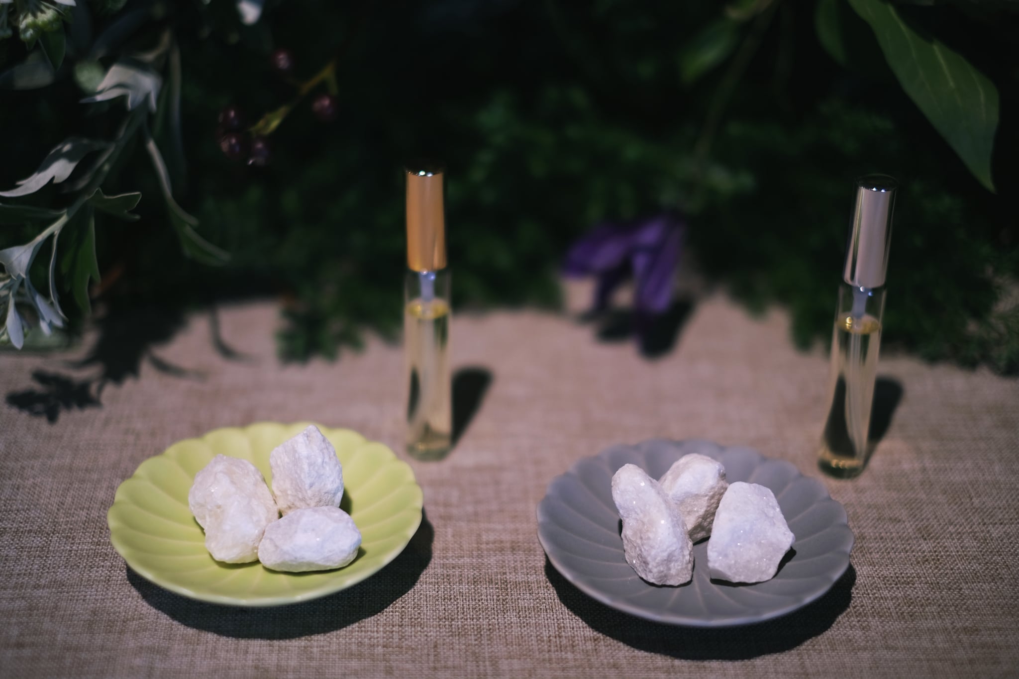 〔 イベント開催 〕平尾台魅力発信プロジェクト「羊礁香景」イベントを福岡・東京で開催しました