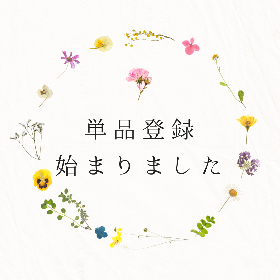 単品購入スタート✨✨