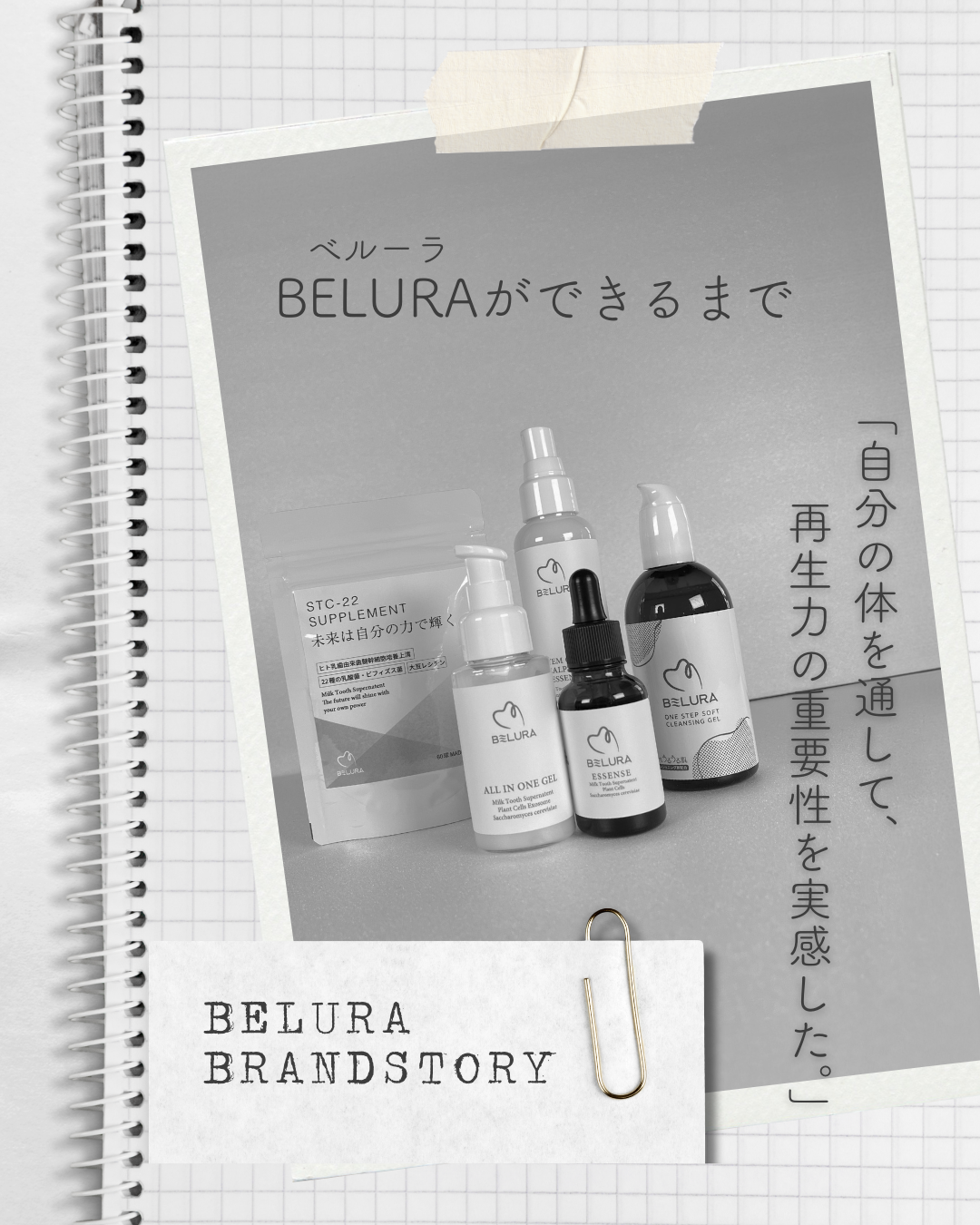 BELURA（べルーラ）ができるまで