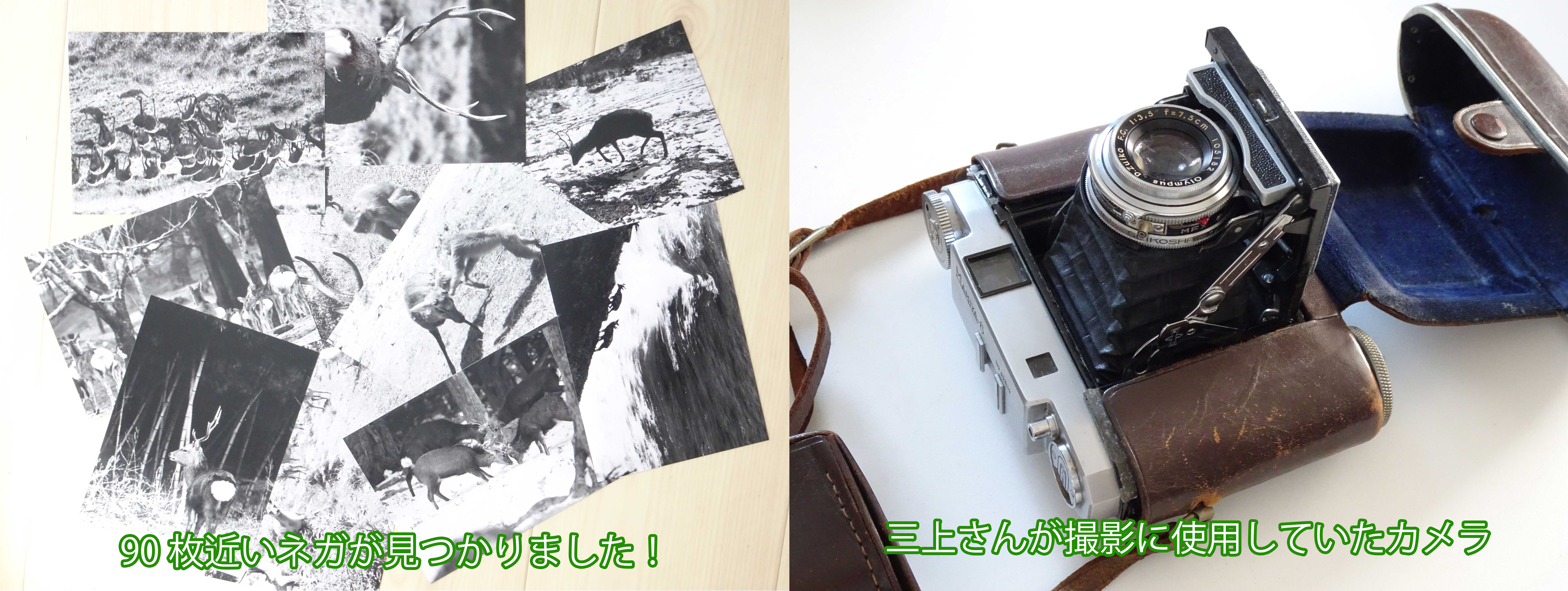 金華山を撮ってきた三上さんの記録