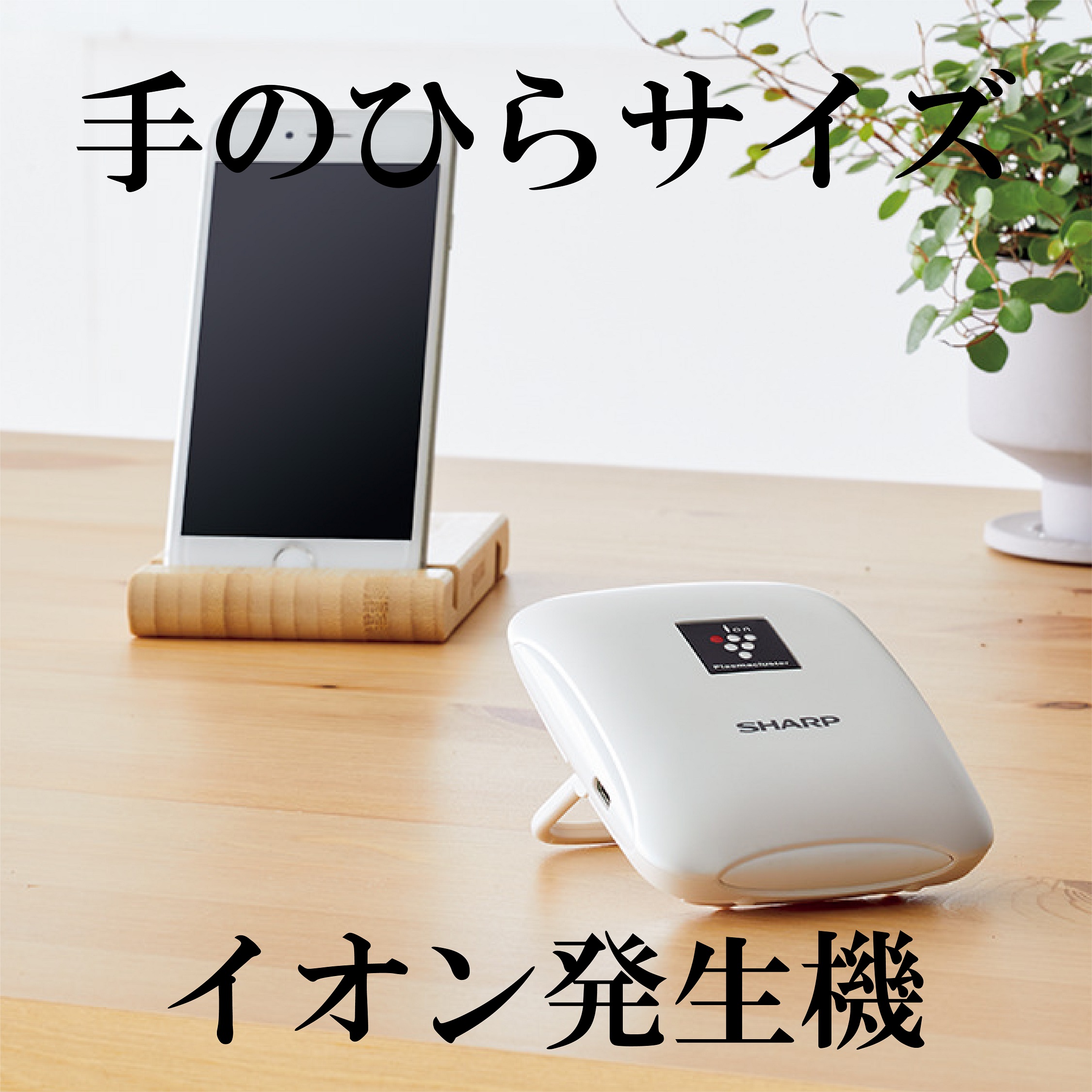 ＼レジャー用品のご紹介！／