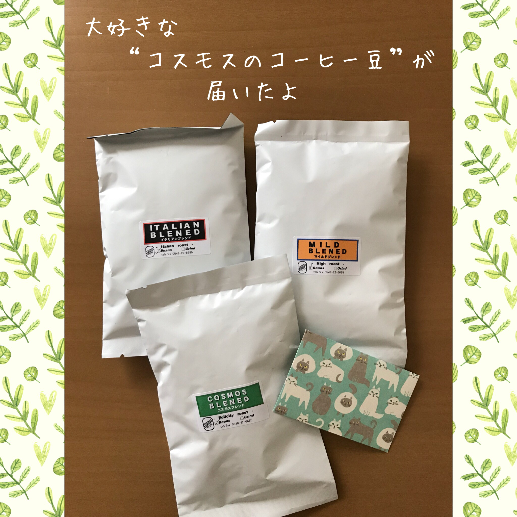 布が入荷しました！