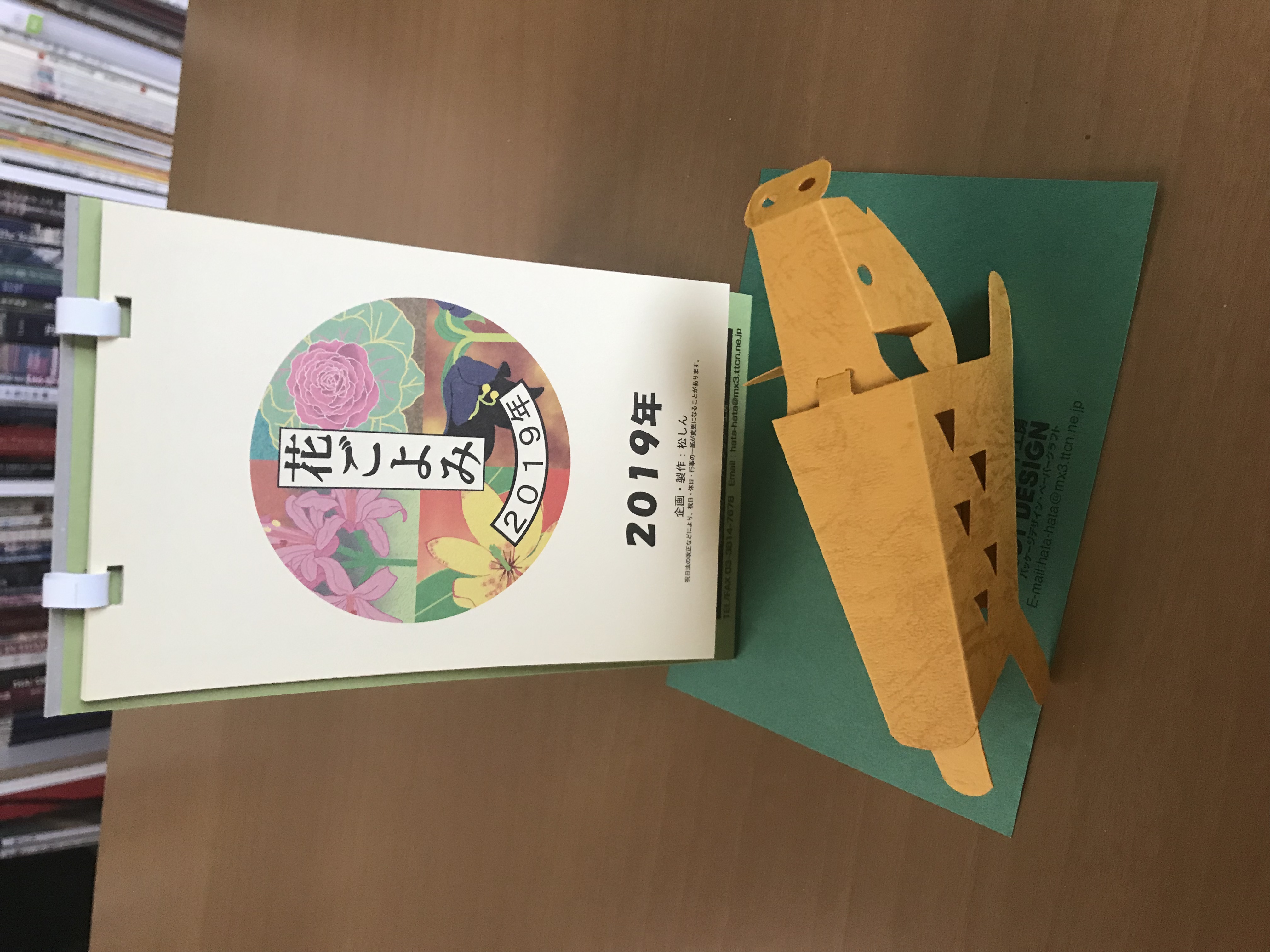 迎春 2019 亥年
