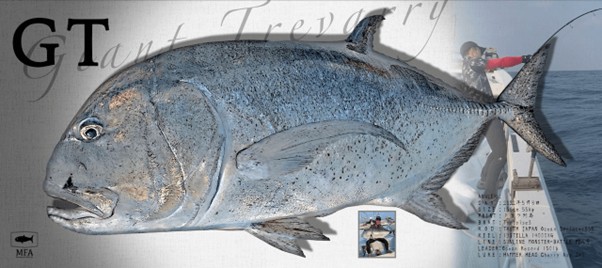 デジタル魚拓に使う写真の撮り方は?良質なサービスを選ぶポイントも