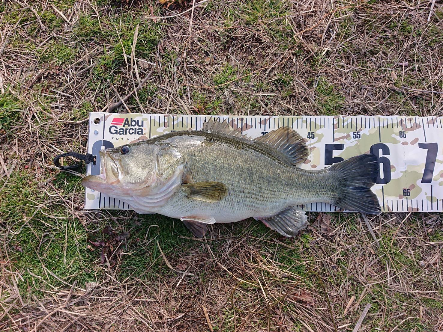 MFAブログ!バスのデジタル魚拓を制作させていただきました😄